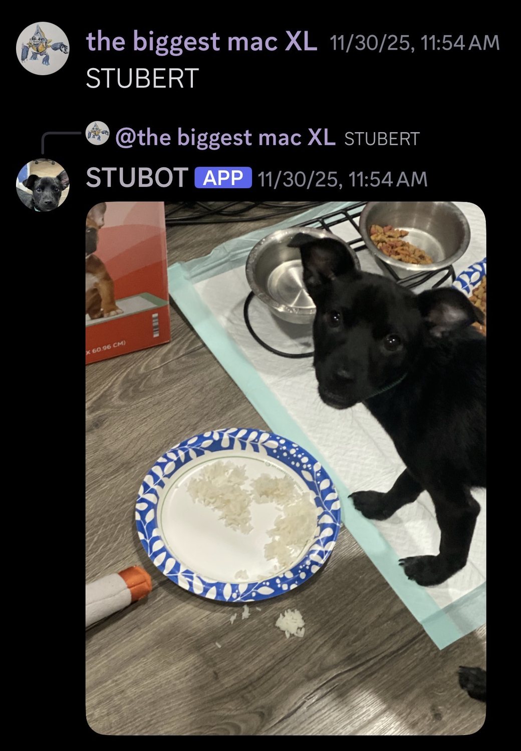 STUBOT responding to the STUBERT keyword in Discord
