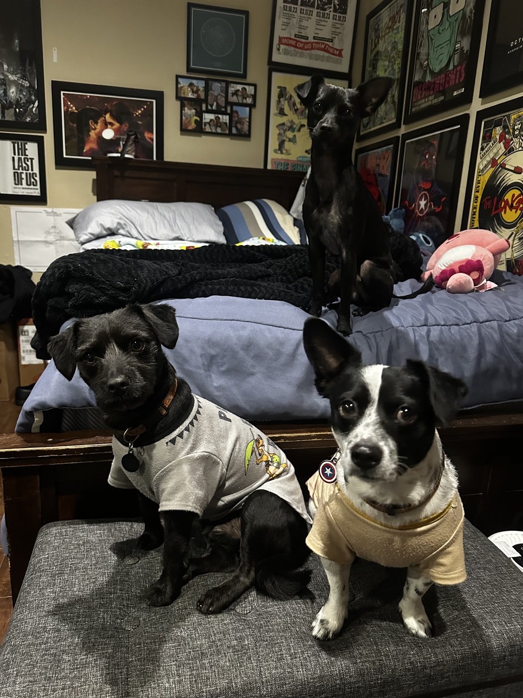 Stuart, Cash, and White Thunder spending time together during a family visit