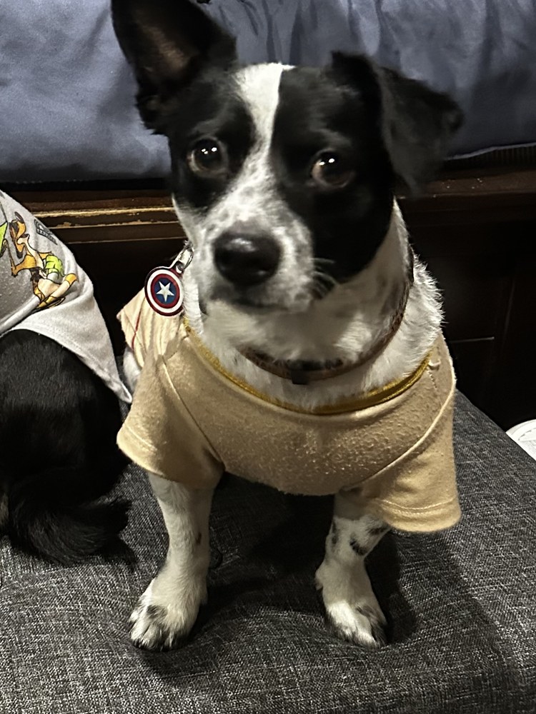 Walter 'Wally' — aka White Thunder — the white-and-black brother, in a tan shirt